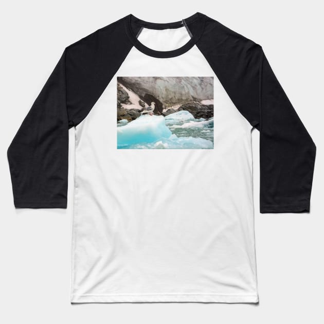 Glaucous gull, Svalbard Baseball T-Shirt by HazelWright